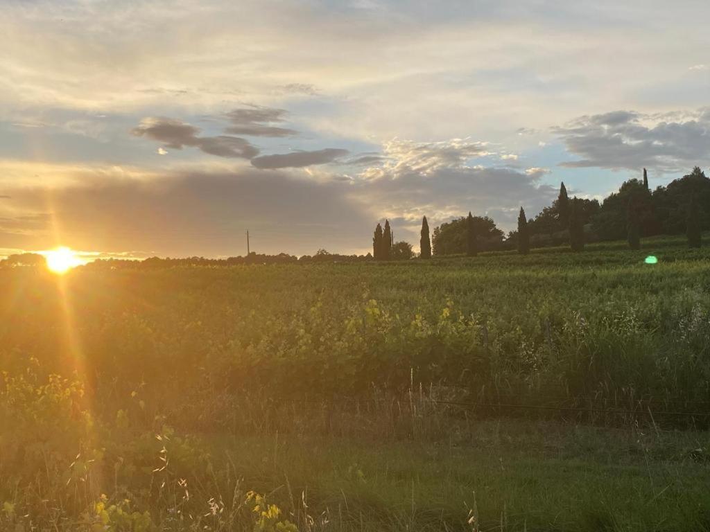Вилла Cocon Authentique De Roussillon Русийон Экстерьер фото